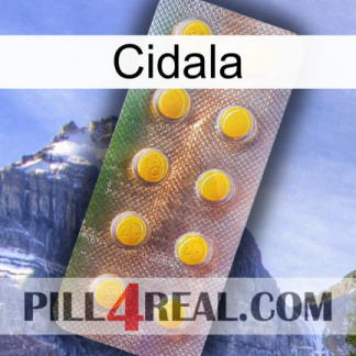 Cidala new11